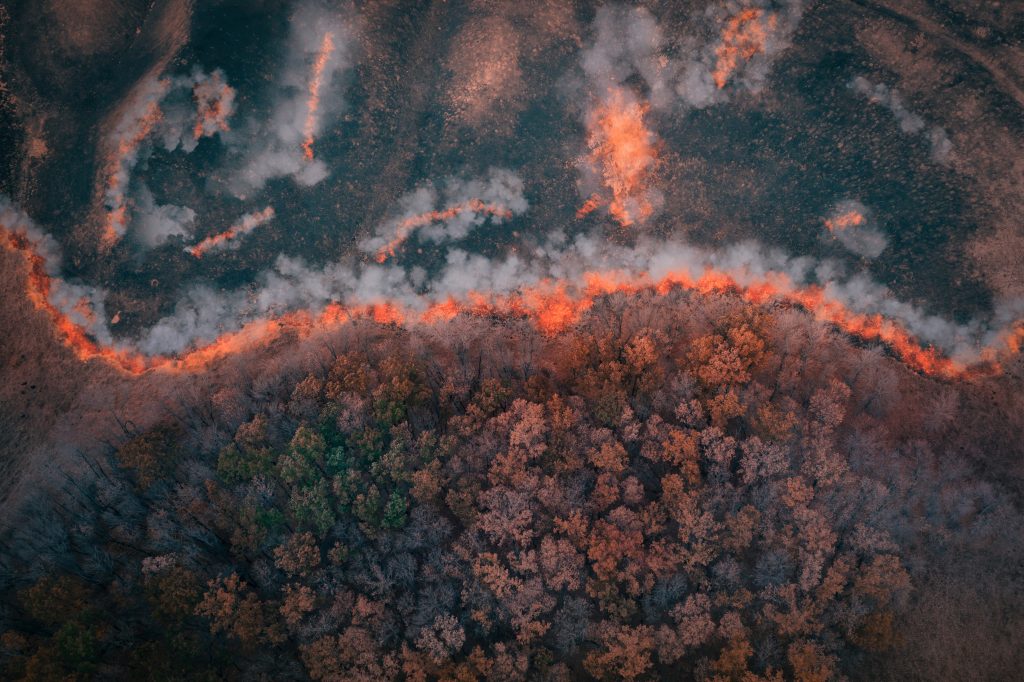 Wildfires