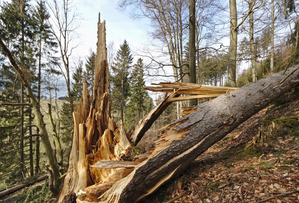 Windstorms
